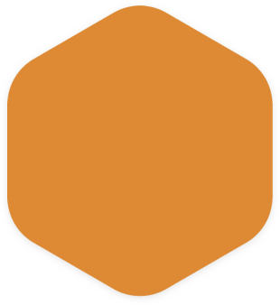 Hexagonal Badge
